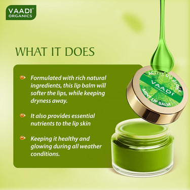 Vaadi Herbals Lip Balm, Mint, 10g